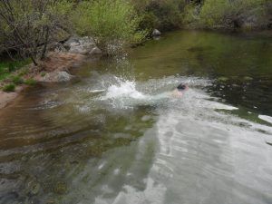 Refreshing dive