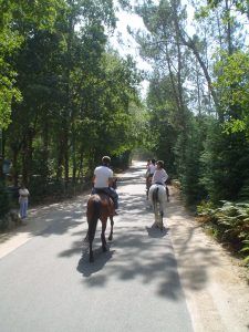 Horse riding at Gerês National Park