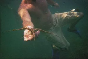 Berlengas snorkeling