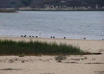 Lagoa de Óbidos